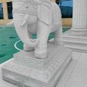 怀化 白麻花岗岩动物异形石雕-大象