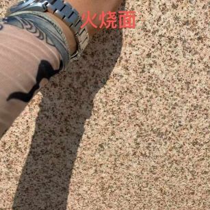 怀化黄金麻火烧面